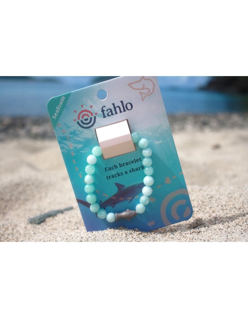 Fahlo The Voyage Bracelet - Shark