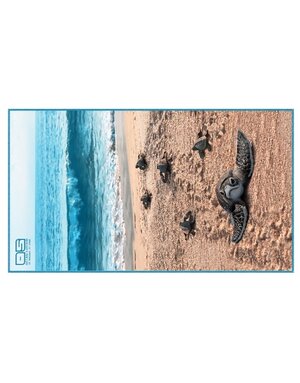 Ocean Surfari FOTP Baby Turtles Towel