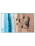 Ocean Surfari FOTP Baby Turtles Towel/Beach Blanket