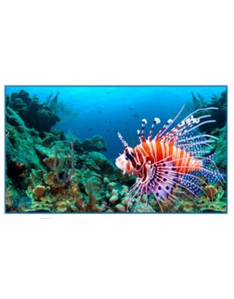 Ocean Surfari Copy of FOTP Coral Reef Towel