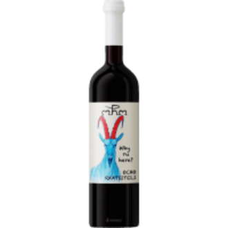 Ocho, Rkatsiteli Why Ru Here? 2023