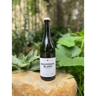 Villa Tolnay, Sauvignon Blanc 2024