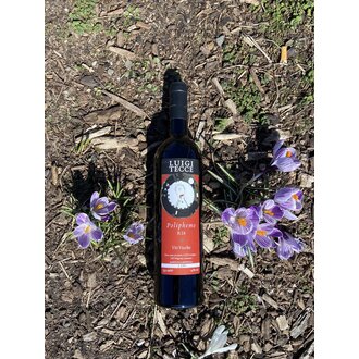 Luigi Tecce, Taurasi Riserva Poliphemo Vecchie Vigne 2018