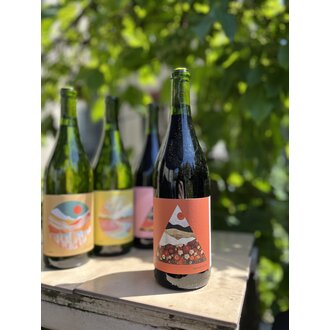 Outward Wines, Gamay Noir Presqu'ile Vineyard Santa Maria Valley 2023