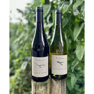 Tacherons, Chardonnay Haute Vallee 2022