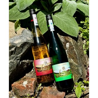 Ameztoi, Getariako Txakolina 2023 Ameztoi, Getariako Txakolina 2023