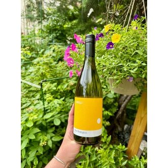 Azienda Agricola Cirelli Vino Tavola Bianco NV