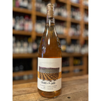 Scar of the Sea, Old Vine Palomino Lopez Vineyard 2024