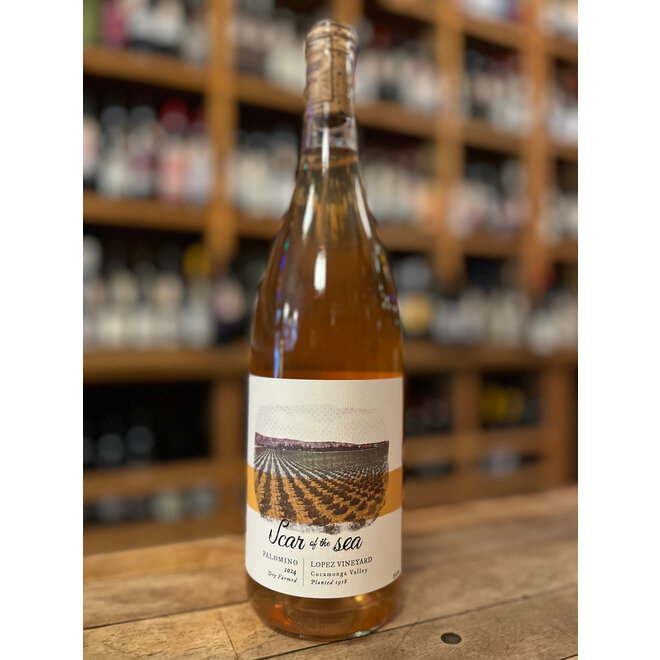 USA - Dandelion Wine