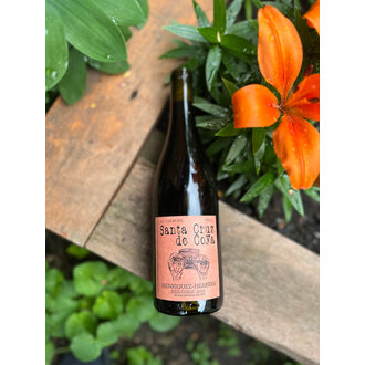 Roberto Henriquez, Valle del Bío-Bío Santa Cruz de Coya 2021 Roberto Henriquez, Valle del Bío-Bío Santa Cruz de Coya 2021