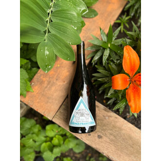 Roberto Henriquez, País Franco Valle del Bío-Bío 2022 Roberto Henriquez, País Franco Valle del Bío-Bío 2022