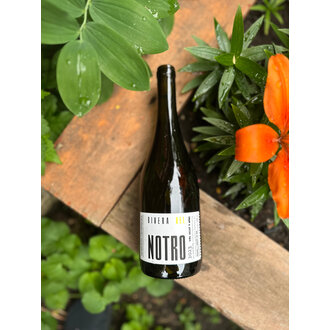 Roberto Henriquez, Rivera del Notro Valle del Bío-Bío Blanco 2023