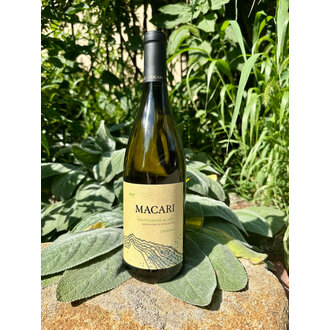 Macari Vineyards, Sauvignon Blanc Lifeforce 2024