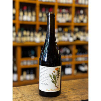 The Color Collector, Willamette Valley Gamay Noir 2023