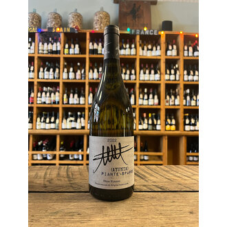 Ayunta, Etna Bianco Piante/Sparse 2022