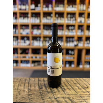 Dila-O, Rkatsiteli Mtsvane Amber Dry 2023