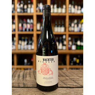 Wachter Wiesler, Blaufränkisch Eisenberg "Béla-Jóska" 2022