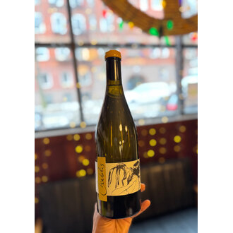 Pattes Loup, Chablis Vent d'Ange Mise Tardive 2022