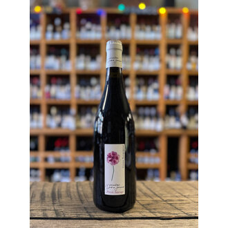 Domaine Dame Jeanne, Coteaux Bourguignons 'Pensée Sauvage' 2022