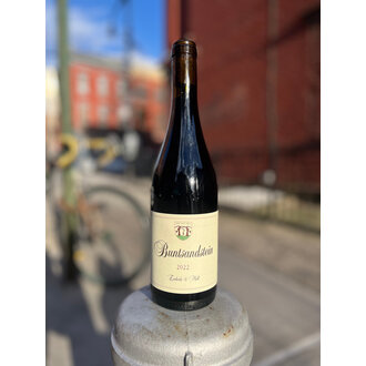 Enderle & Moll, Pinot Noir Buntsandstein 2023