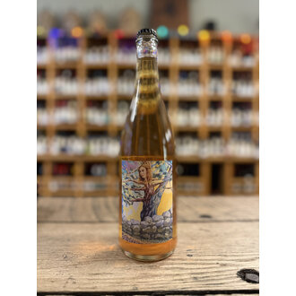 Spirit of the Trees Cider