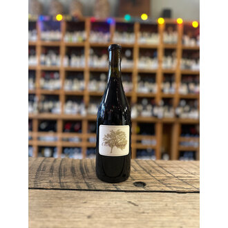 Clos Saron, 'Black Swan' Zinfandel 2022