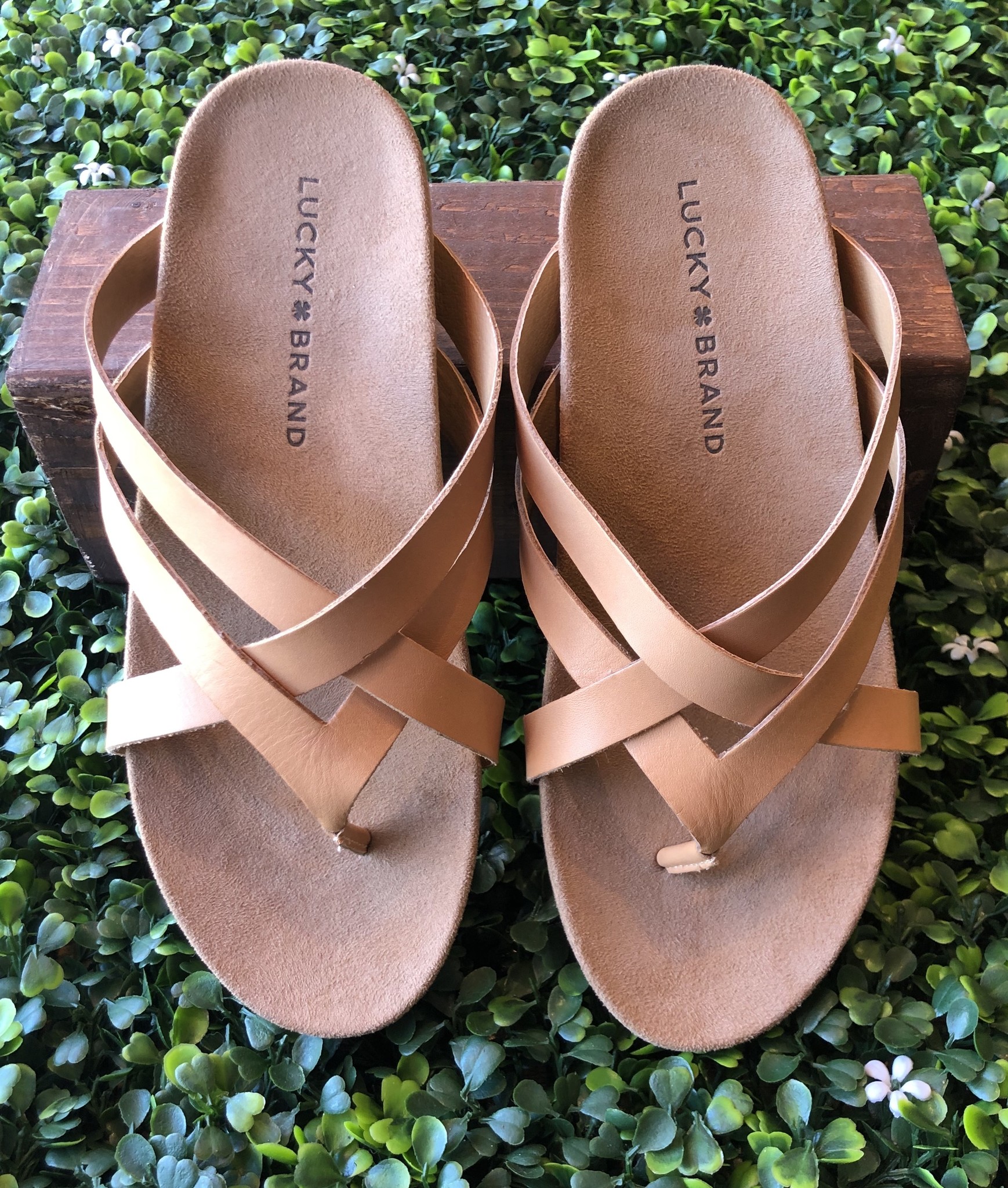 lucky brand flip flops