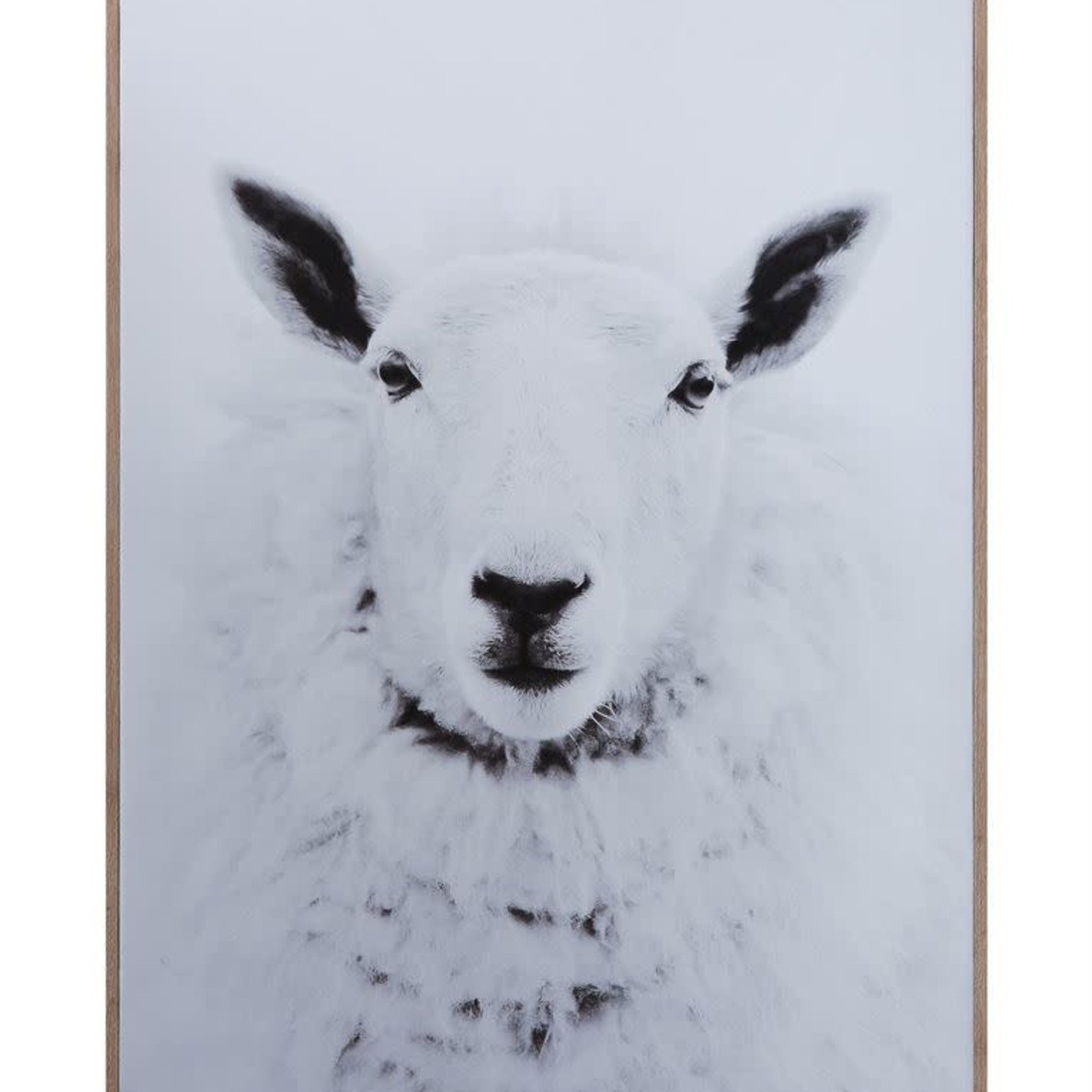 Framed Canvas Wall Decor w/ Sheep