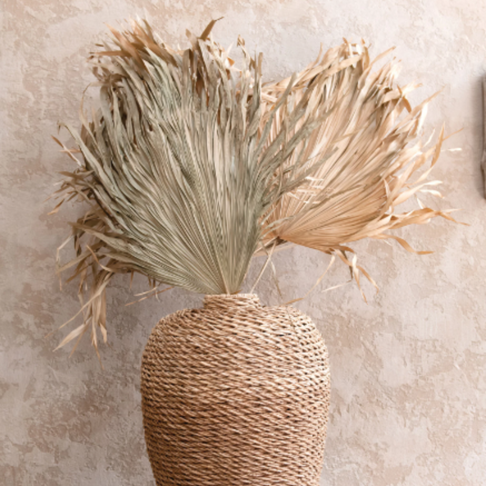 creative Co-op Dried Palm Fan Leaf in Natural