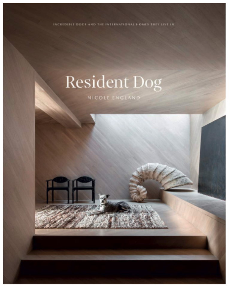 Resident Dog: Incredible Dogs and the International Homes They Live In