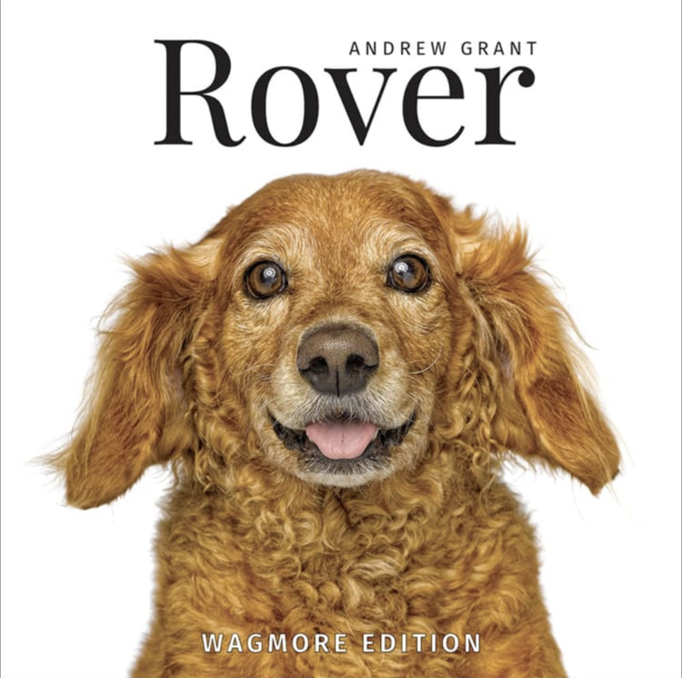 Rover | Wagmore Edition