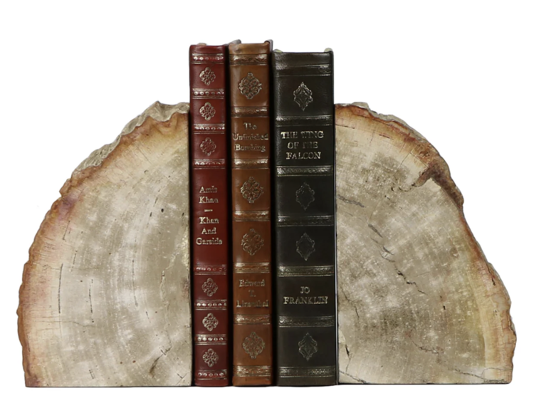 Petrified Bookend | Pair