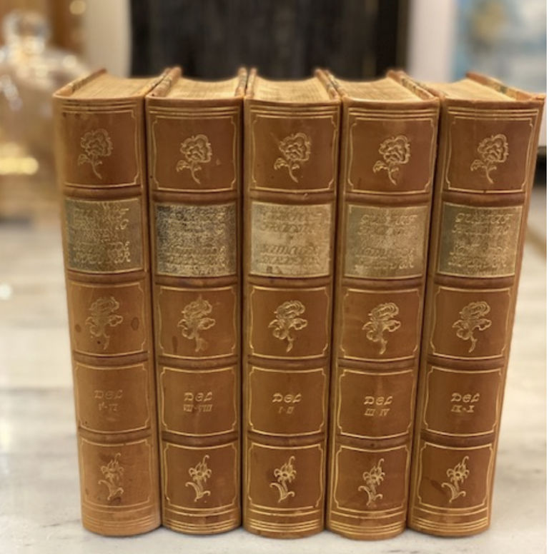 Antique Leather Books II | 5 Volumes | Flower