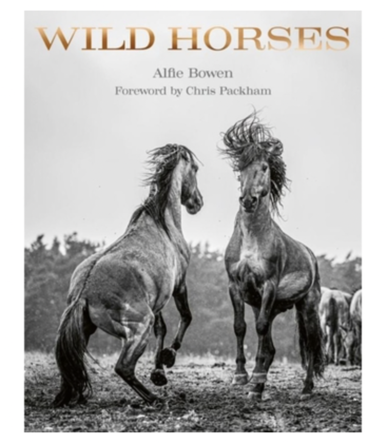 Wild Horses by Alfie Bowen