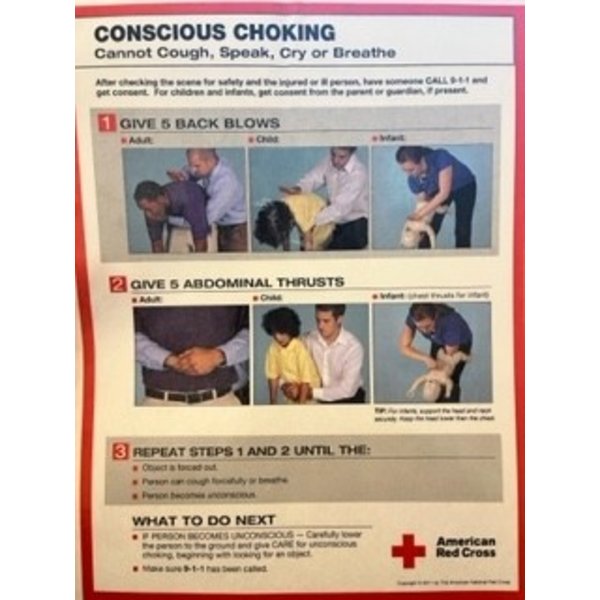 Winco American Red Cross CPR-2 Conscious Choking Sign