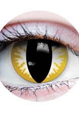 PRIMAL Thriller - Yellow Cat Eye