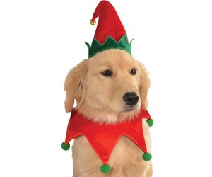 Dog elf hat hotsell