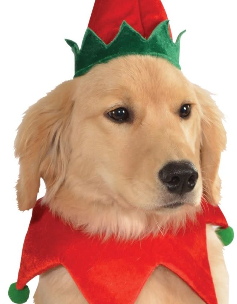 Dog Elf Hat with Bell and Collar - S/M