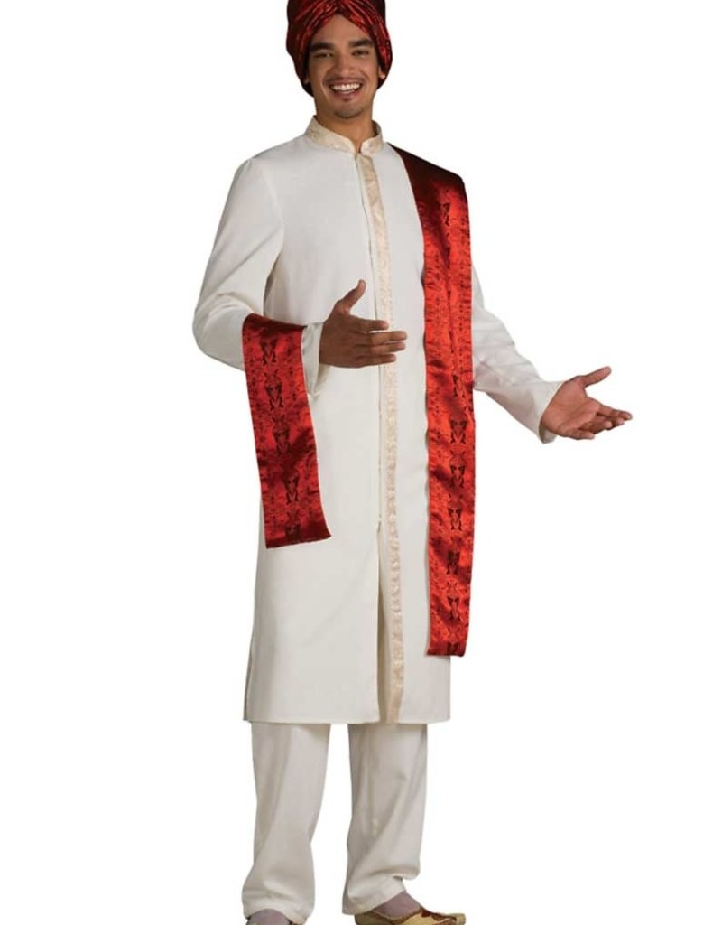 Rubies Costumes Bollywood Guy - Standard