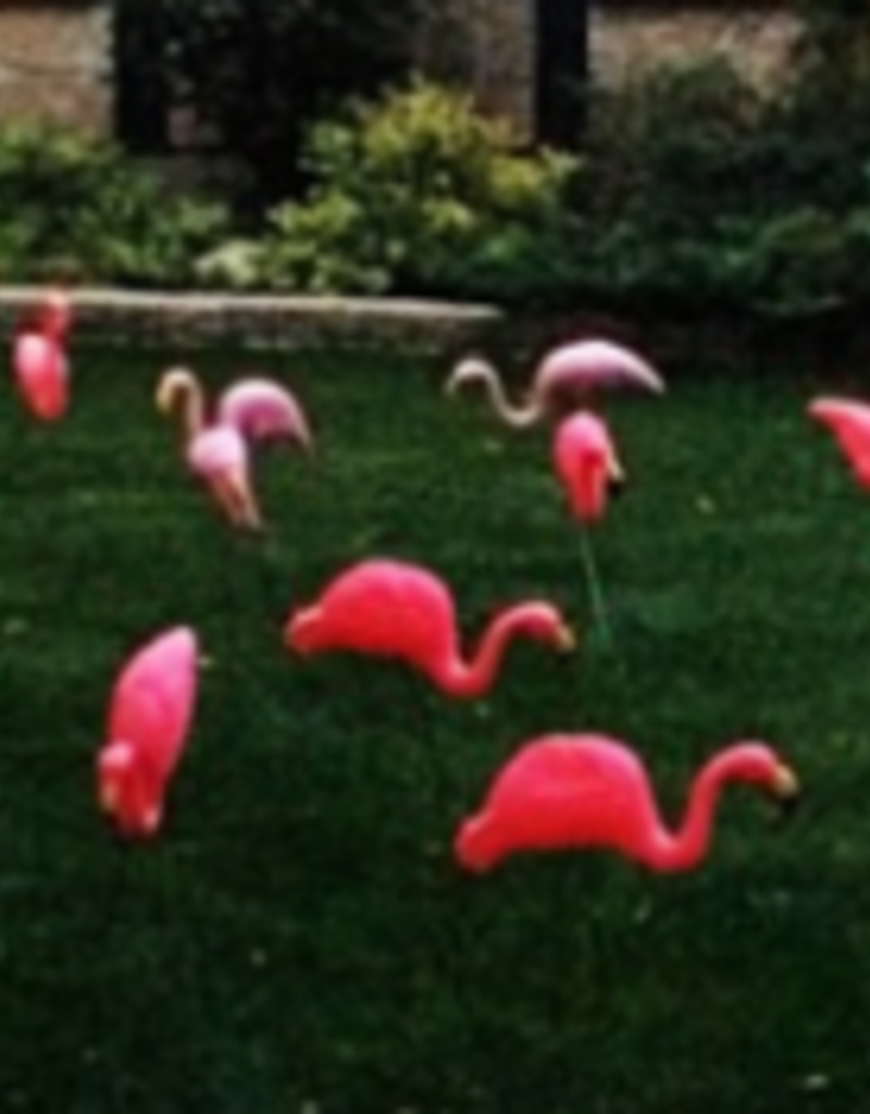 LAWN SIGN RENTAL DIY/DAY - FLAMINGO