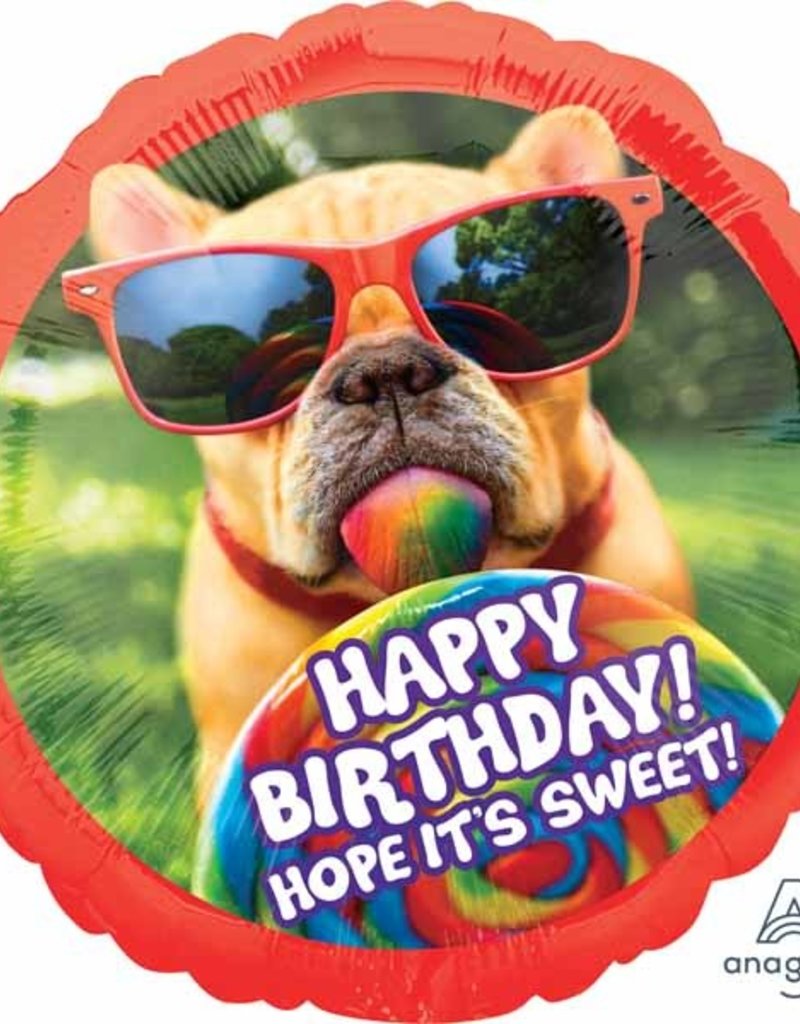 Qualatex 28" Happy B-Day Dog