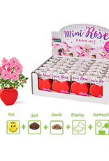 Valentines Grow Your Own Mini Roses