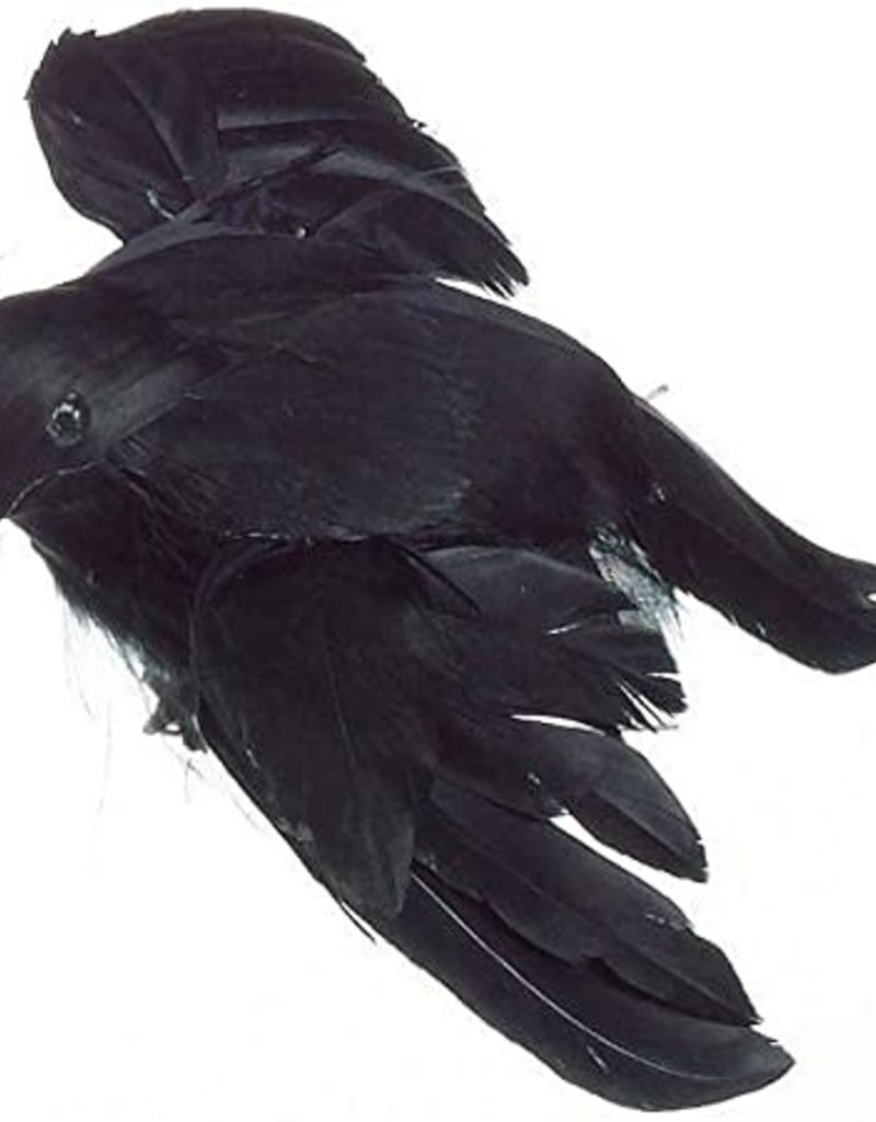 4.75 inch Flying Crow Feathered