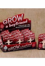 Grow A Boyfriend