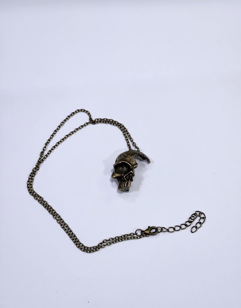 Antique Bronze Finish - Half Skull  Necklace