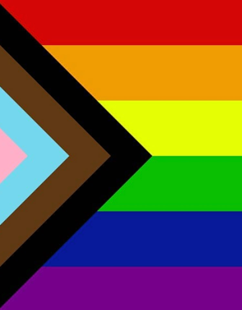 Progress 3'x5' Pride Rainbow Flag LGBTQA+