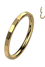 Gold 3mm -  Titanium Hoop Ring With Outward Facing Rectangular Facets 16G