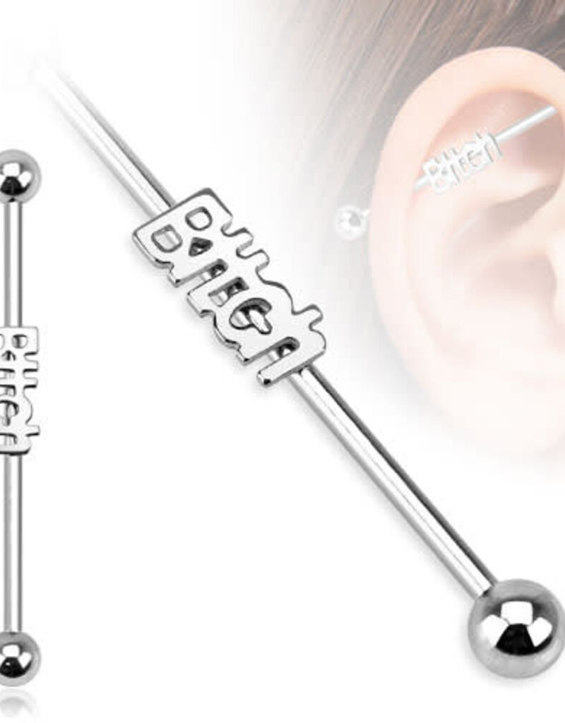 Hollywood Body Jewelry Industrial Barbell silver (bitch) 38mm