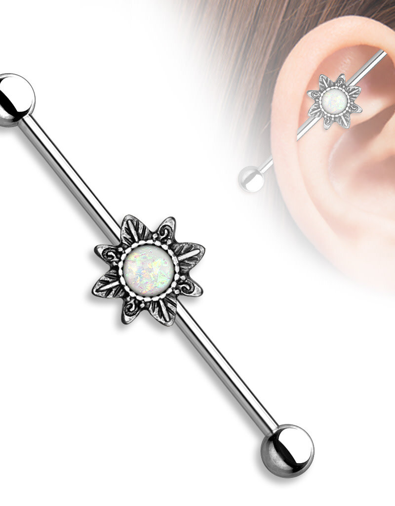 Hollywood Body Jewelry Titanium Star Industrial Barbell 38mm