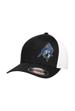 Marlins hat